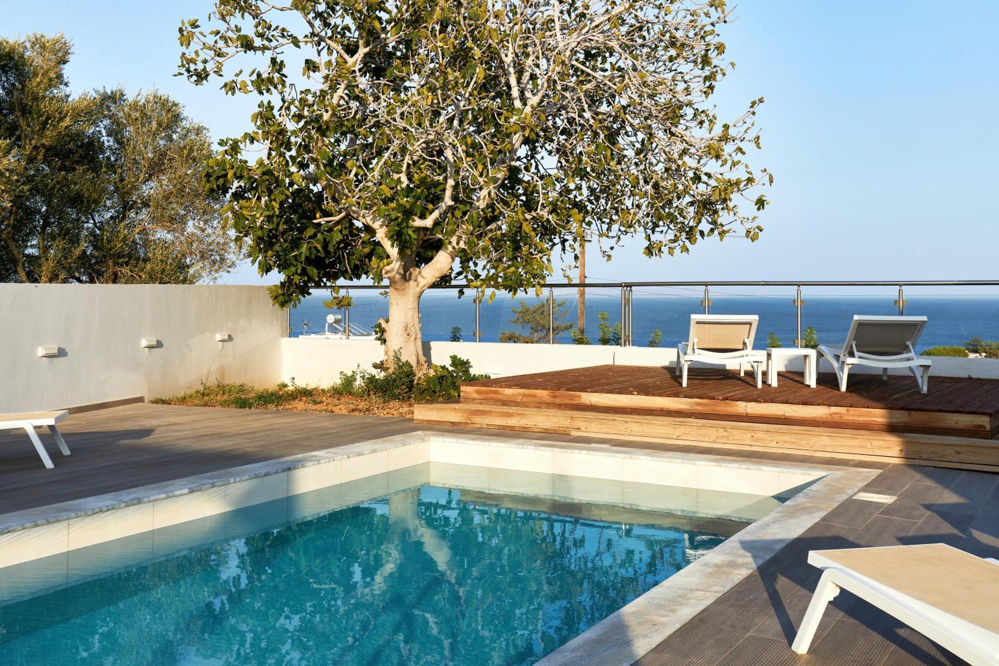 Emilia - With Private Swimming Pool Ferienhaus Agia Pelagia (Kreta)
