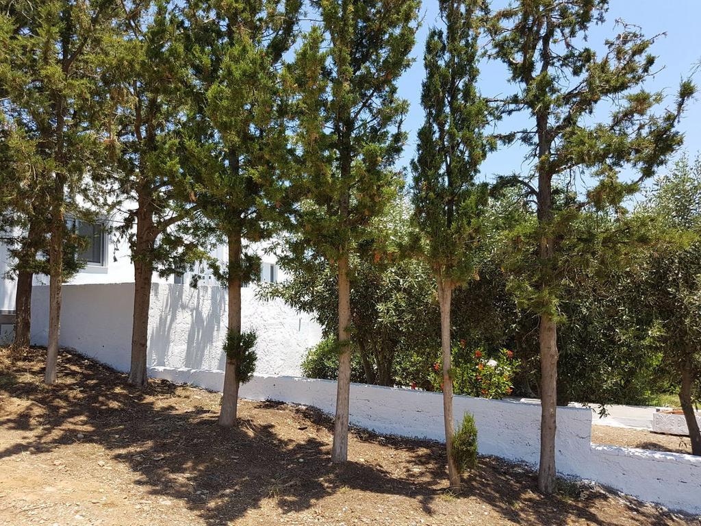 Emilia - With Private Swimming Pool * Agia Pelagia (Kreta)